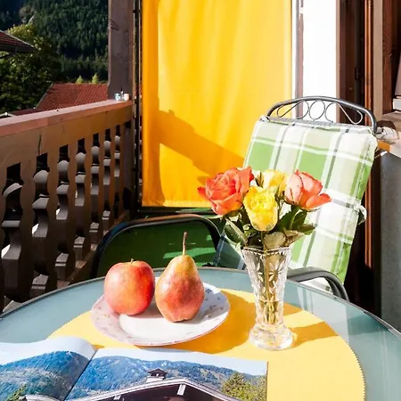 Hotel Effland Mit Innenpool Und Sauna 1 Stunde Zur Privatnutzung Pro Tag