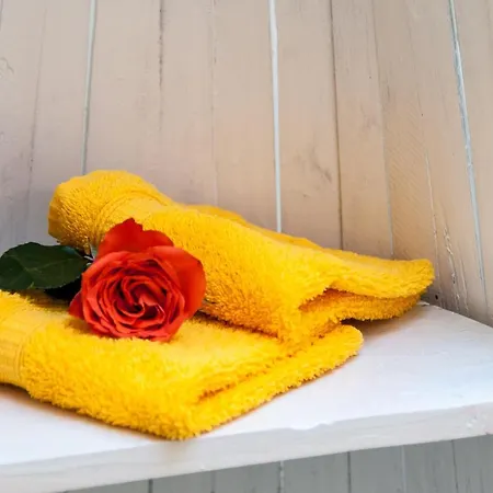 Hotel Effland Mit Innenpool Und Sauna 1 Stunde Zur Privatnutzung Pro Tag